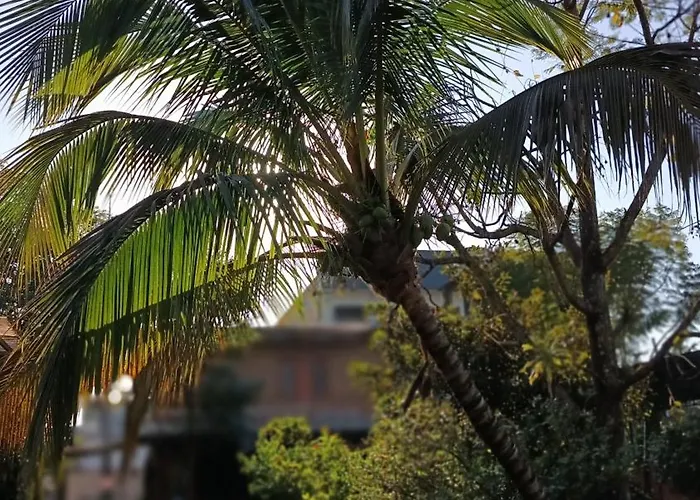 Casa Pancha