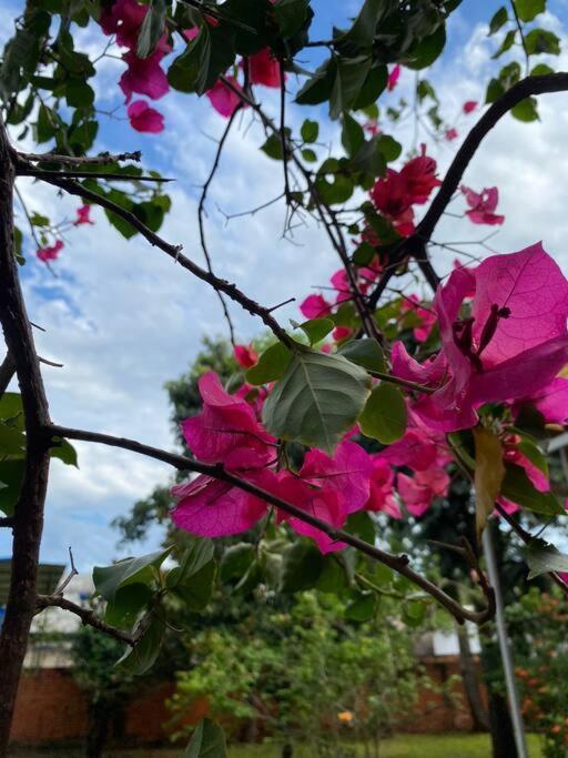 Holiday home Casa Pancha *